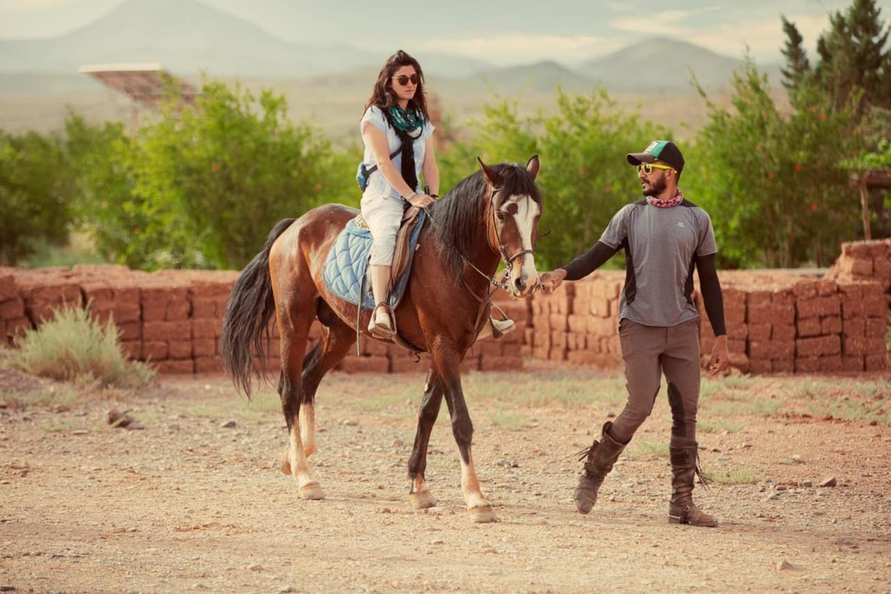 Ecolodge L'Ile De Ouarzazate Tarmigt Εξωτερικό φωτογραφία